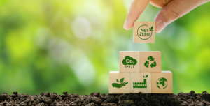 net-zero concept with eco-friendly icons on wooden blocks against a green backdrop
